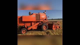 Olaoree 2021 - Moisson d’escourgeon