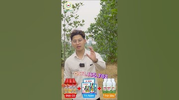 Diệt sạch cỏ chỉ 1 lần phun -2- 3 tháng cỏ không mọc lại