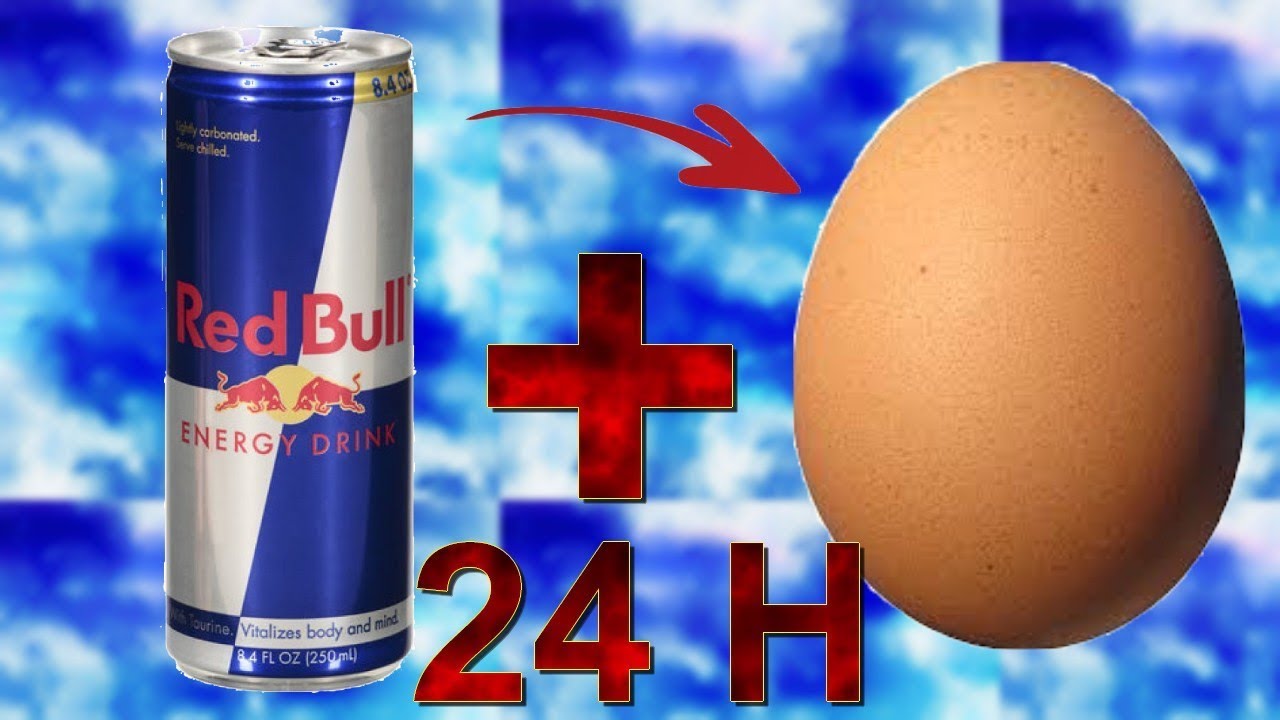OEUFS + RED BULL EXPERIENCE ! 24 H DANS DU RED BULL ! YouTube OEUFS + RED BULL EXPERIENCE ! 24 H DANS DU RED BULL ! YouTube