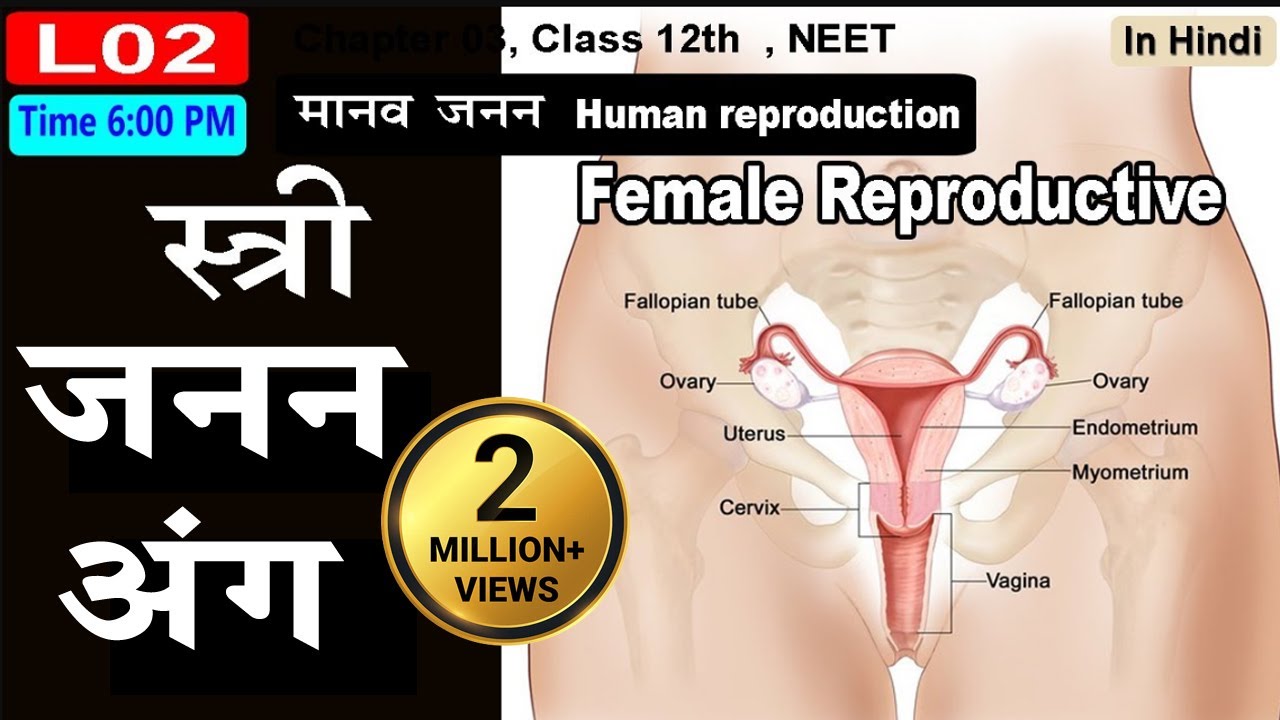 Retro qora porno videolar Yalangoch ayollar kazarma boylab sayr qilmoqda (video)