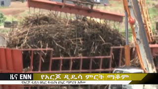 Ethiopia: Arjo Dedesa sugar factory stops production due to shortage of sugarcane - ENN News