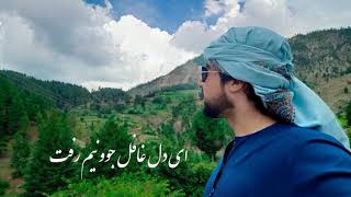 Vahemeh Morteza Jafar Zadeh