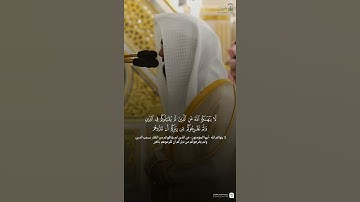مقتطف من تلاوة فضيلة الشيخ #محمد_برهجي فجر 26 ربيع الأول 1447هـ