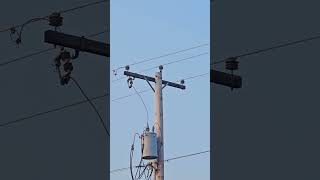 Three Phase Vs Single Phase