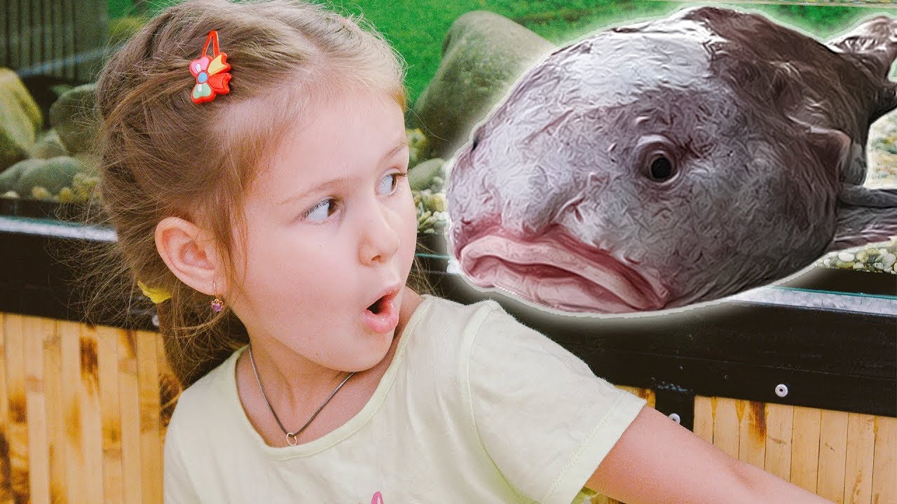 Kids Play indoor with animals and fish Having Fun and Pretend Play with funny animals