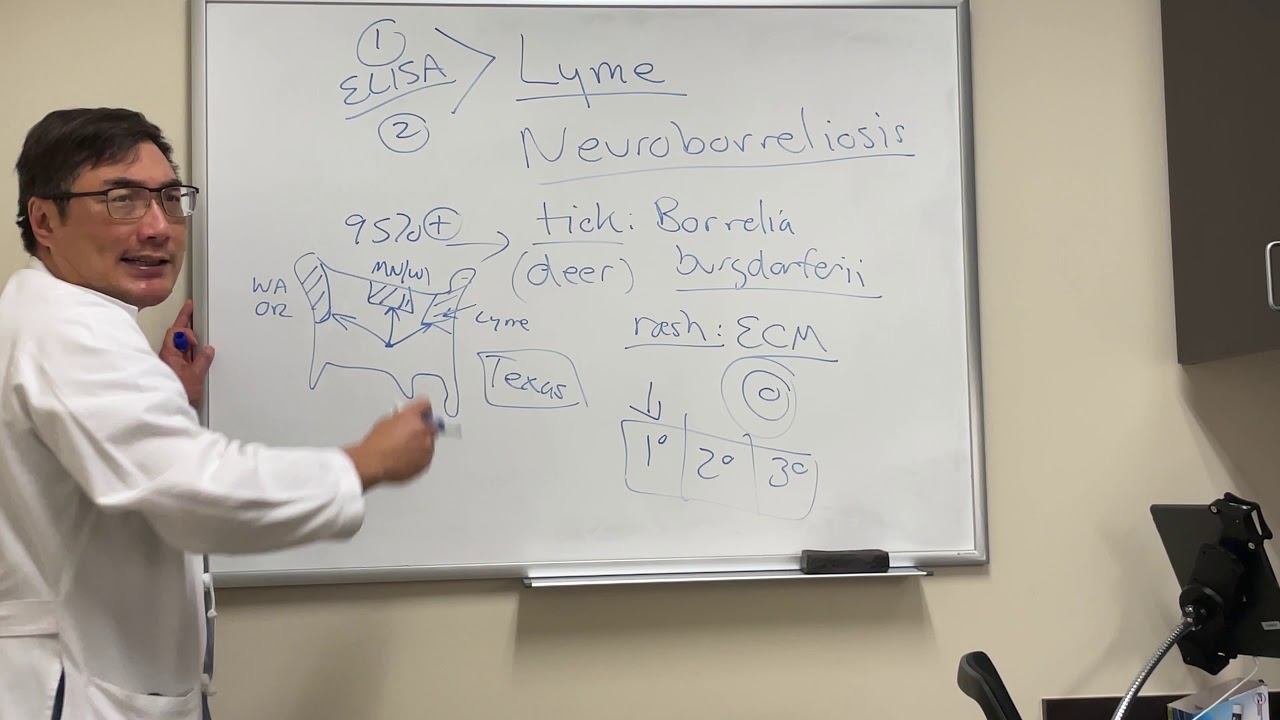 Болезнь Лайма