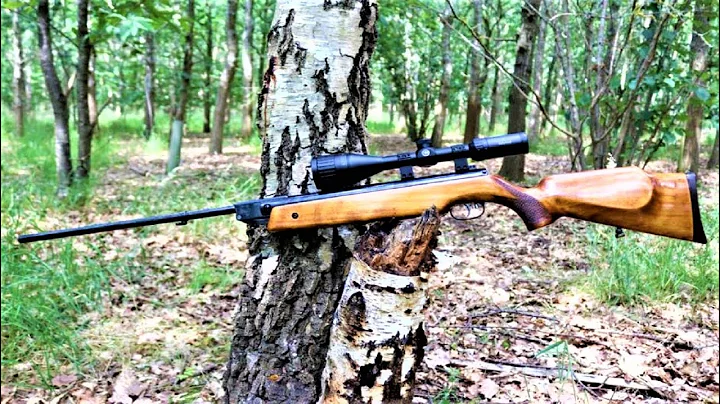 Top 10 Most Powerful Break Barrels Air Rifles 2024