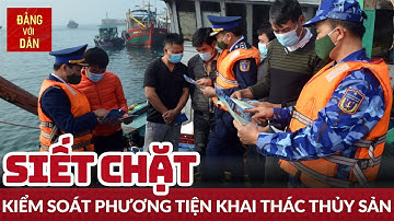 Tăng cường giám sát tàu khai thác, đánh bắt thủy sản | Đảng với Dân