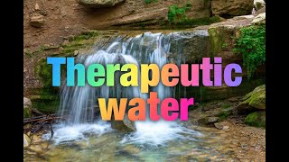 Famous The Water Code: Drink Your Way to IMMORTALITY and Eternal Youth (Shirokova’s Method) Net Worth