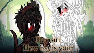 Hey siri how big is your-||Toro x Indy/Darcy