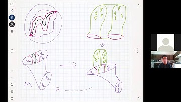 Hyperbolic Limits of Cantor sets complements in the Sphere- Franco Vargas Pallete (Yale University)