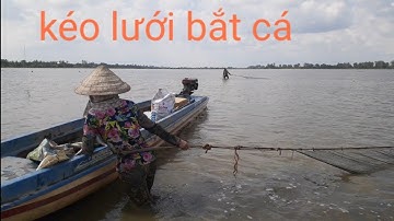tập 12-Nghề Kéo lưới bắt cá đồng mùa nước nổi ở miền tây