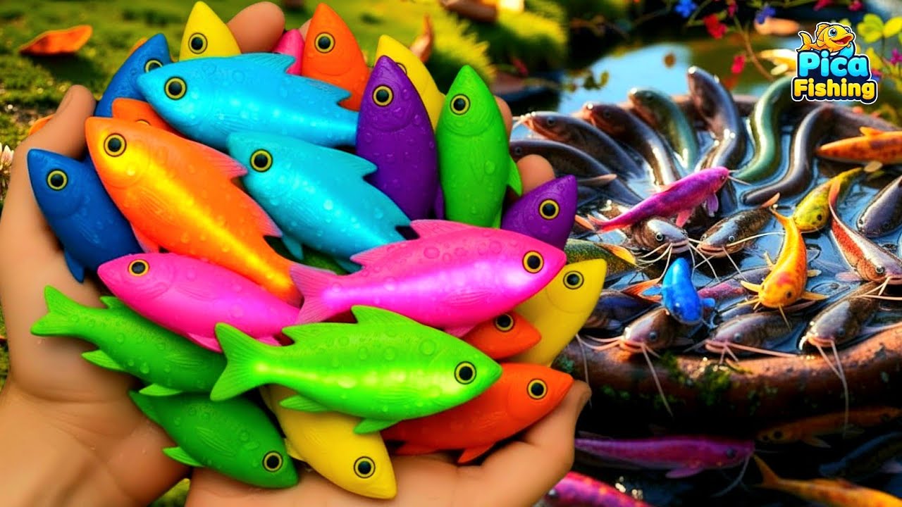 Beautiful Fish Surprise in Colorful Eggs | Aquarium Fish Collection