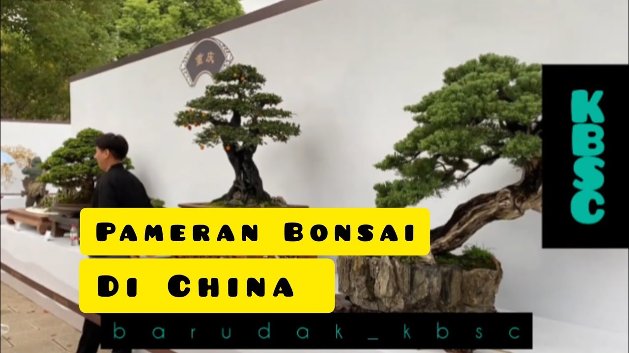 Pameran Bonsai Di China