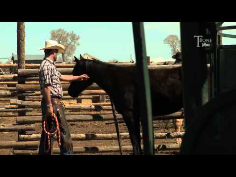 Training Horses the Cowboy way