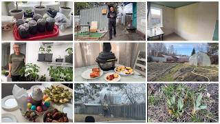 У РОДИТЕЛЕЙ В ГОСТЯХ ОТМЕЧАЕМ ПАСХУ/ОБРАБОТКА УЧАСТКА ОТ КЛЕЩЕЙ/ШАШЛЫК СЫРНИКИ в Аэрогриле G-Wekliss