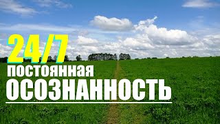 Медитация на природе. Кинхин - ходьба при Дзадзен