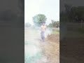 working in the field