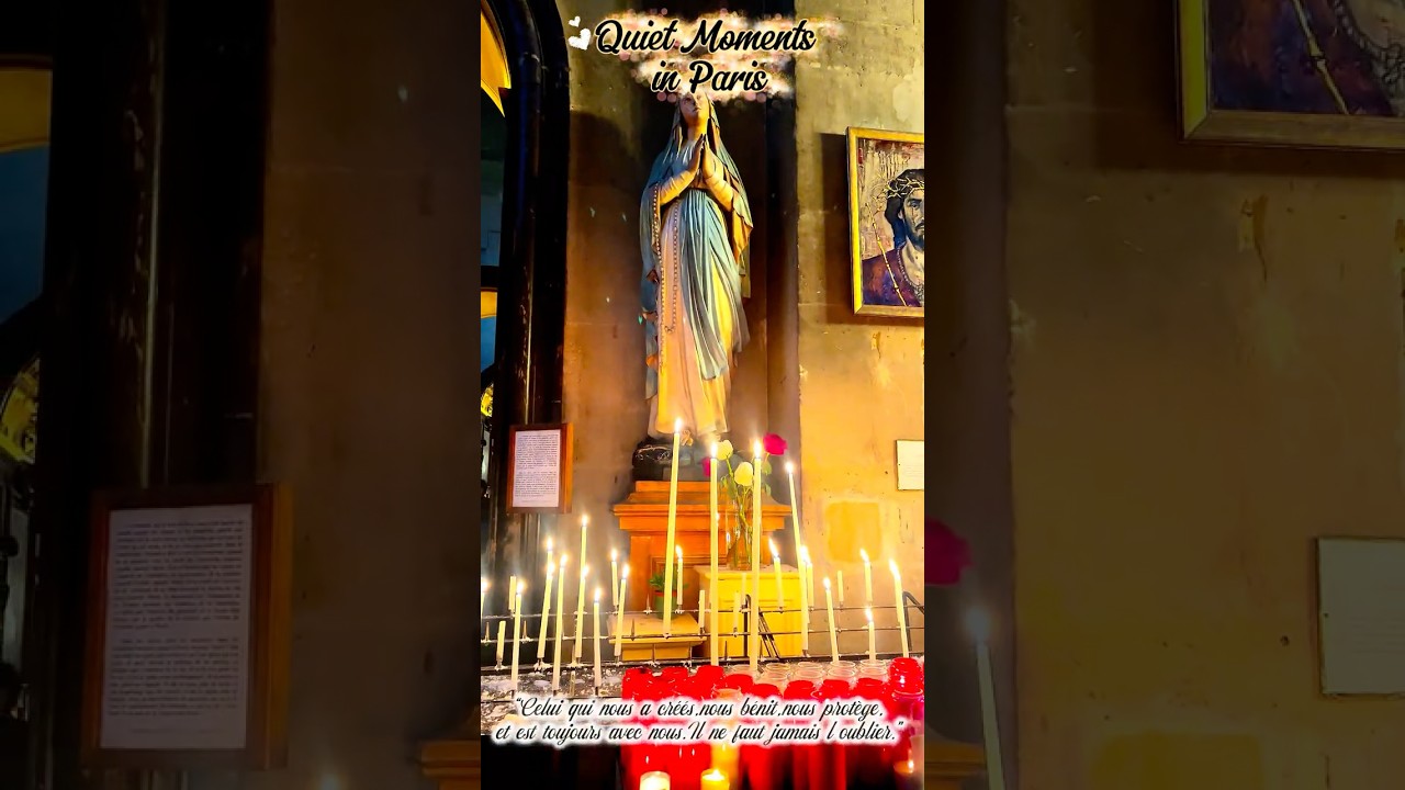 Quiet Moments in Paris 🇫🇷✨ 