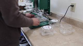Labeling clamshell containers with New Path AT20 tamp label applicator