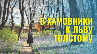 В ХАМОВНИКИ К ЛЬВУ ТОЛСТОМУ. #хамовники #левтолстой