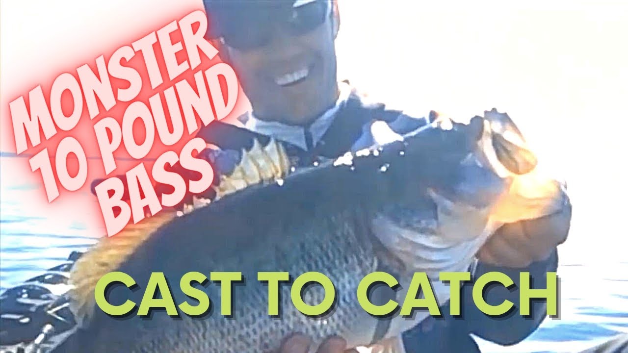 My SECRET WEAPON to Catch GIANTS: Harris Chain Bass Fishing! 🙀💥#fishing