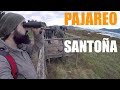 PAJAREO SANTOÑERO: Viendo aves en las marismas de Santoña, Cantabria