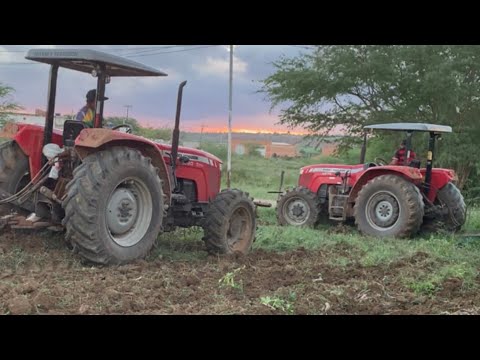 VEJA O QUE OS TRATORES ESTÃO FAZENDO? Adustina, Sertão baiano.