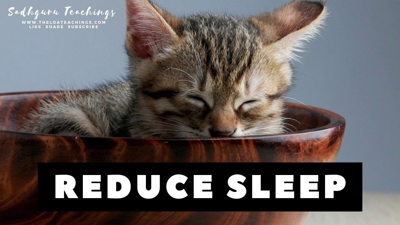 Простая модель кошки блендер. Cats blender plugin. Blender плагин для разрушения. Cats blender plugin. Blender плагин для разрушения.