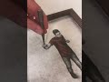 beautiful work 😍 #cool #funny #trending #viral