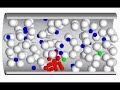 Simulation of Platelet Aggregation in the Presence of Red Blood Cells