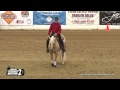 Hang ten and shine ridden by martin larcombe   2017 nrbc open finals sec 2