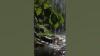 Relieve Stress Instantly with Heavy Rain and Thunder Crashing on a Tin Roof at Night #rainsounds