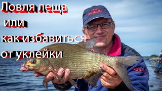 видео: Рыбалка 2020. Ловля леща или как избавиться от уклейки.Рыбалка весной. картинка: Рыбалка 2020. Ловля леща или как избавиться от уклейки.Рыбалка весной.