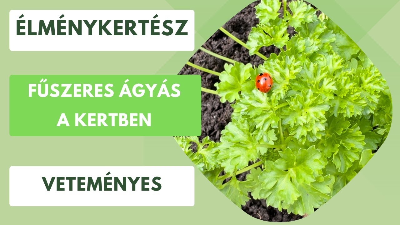 Fűszeres kert kis helyen🍃