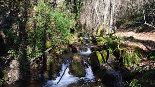 PATEANDO EL BIERZO"RUTA DE LAS FUENTES EN NOCEDA DEL BIERZO"