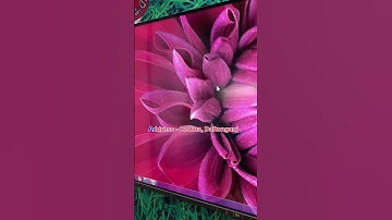 Desktop icon show and Hide #computer #shorts #daltonganj #anandcomputercentre