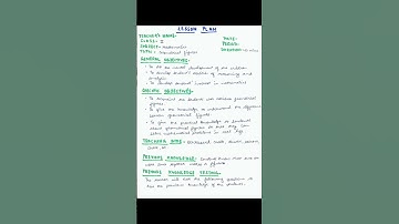 Maths lesson plan on geometrical figures for class 2