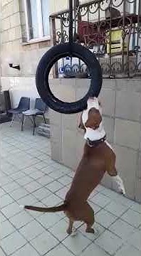 youtube.com