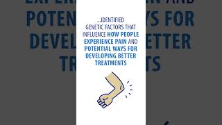 Mvp Discoveries Developing Treatment For Pain