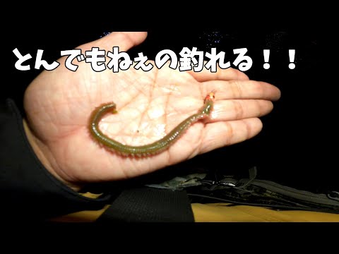 めっちゃ魚が釣れるジグヘッドイソメやってみないか？