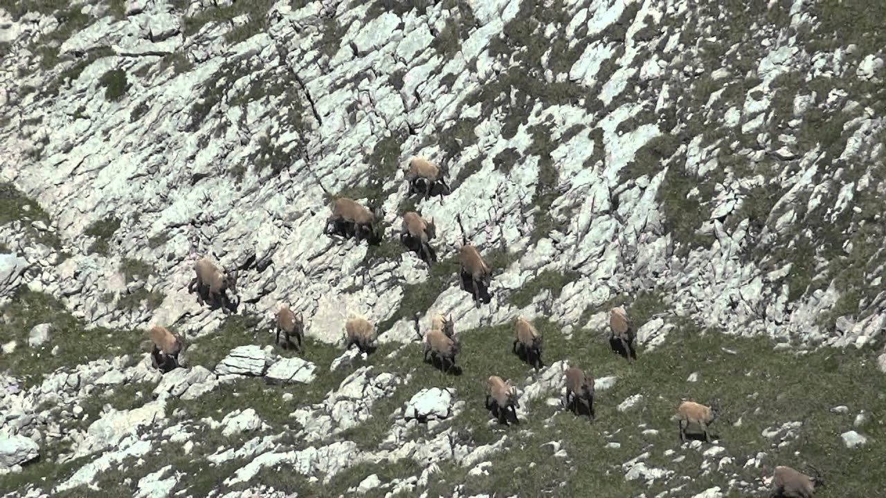 Randonnée au moucherolle dans le vercors.mp4