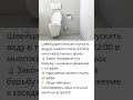 🚽 Запрещено смывать воду в туалете ночью💥 За обычный слив воды можно получить жалобу от соседей