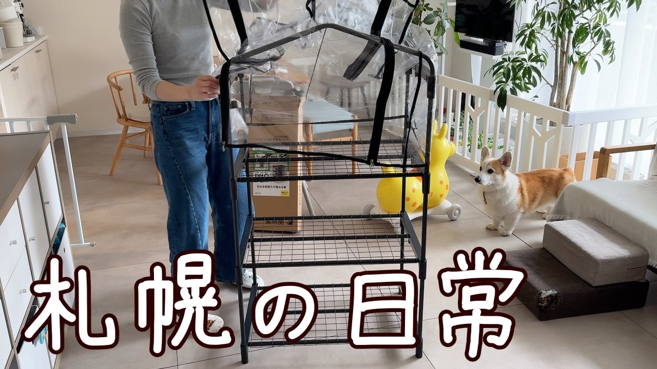 新店舗のBIO TOPと家庭菜園など