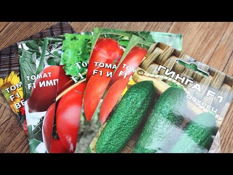 Семена гибридов –