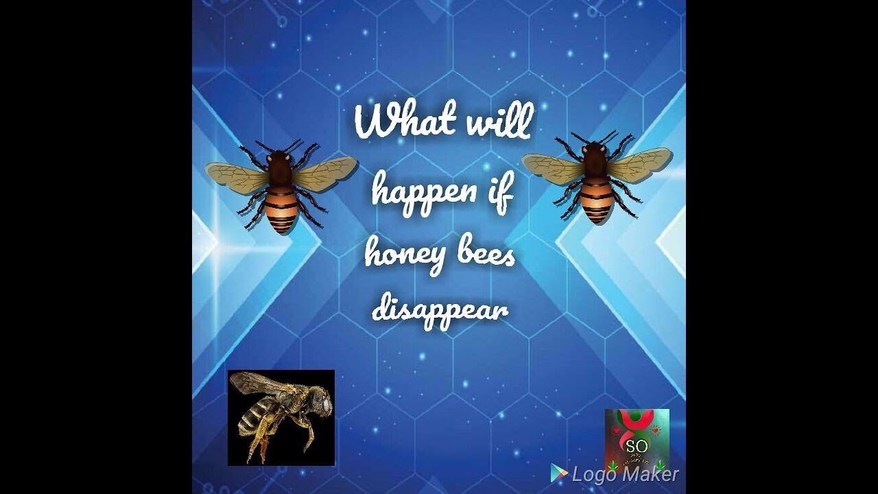 What happens if the bees disappear What happens if the bees disappear