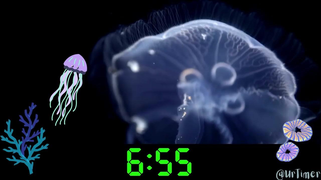 15 Minute Countdown Timer Peaceful Jellyfish with Relaxing Music YouTube
