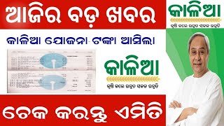 Kalia Yojana New update Today Odisha Kalia Yojana New List Odisha Naveen Patnaik New || NewsOdisha