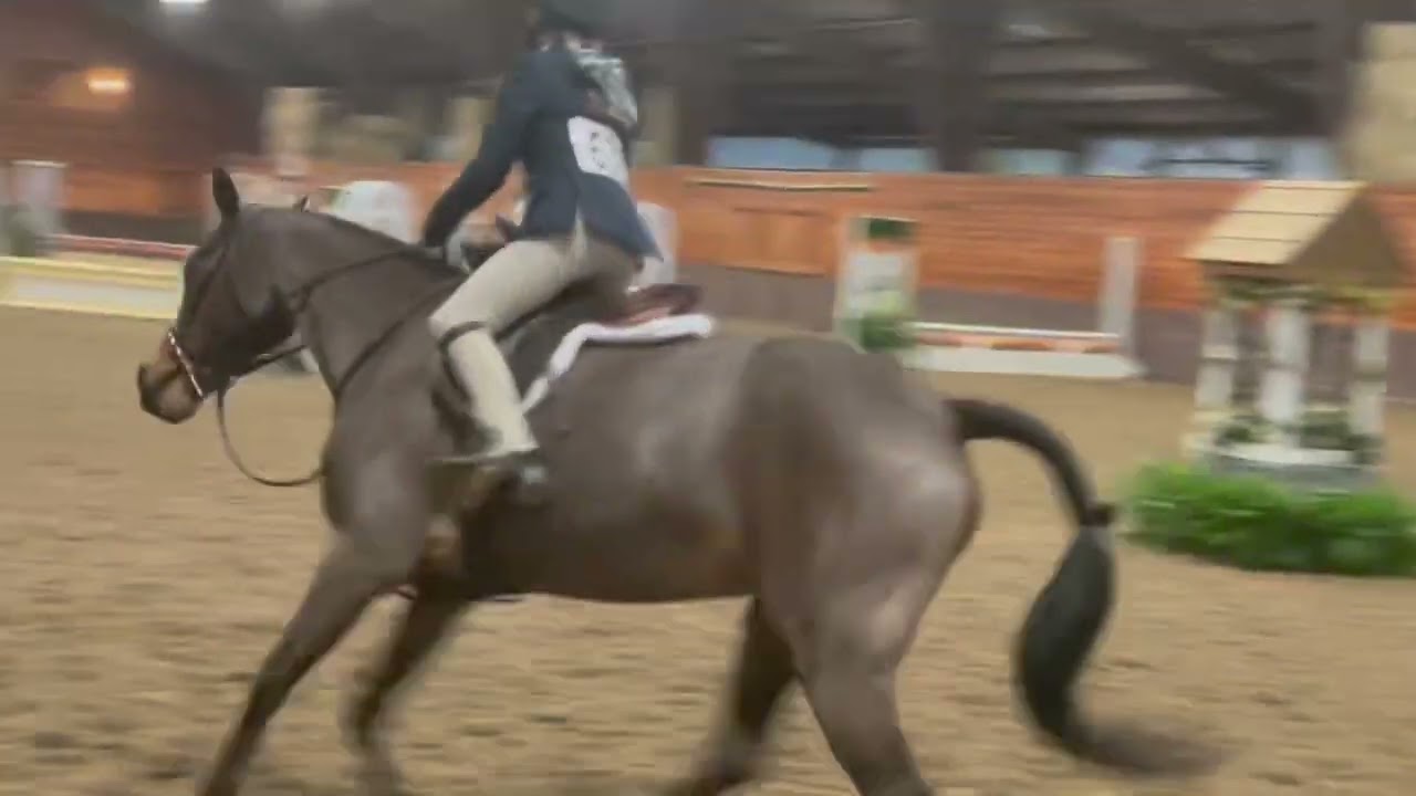 Wellens Diva-Short Stirrup at Chagrin Valley Farms