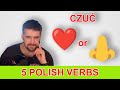 5 Polish verbs that have MORE THAN ONE meaning